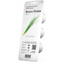 Click & Grow Smart Refill Roheline sibul 3tk
