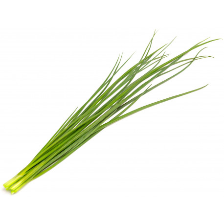 Click & Grow Smart Garden Refill Roheline sibul 3tk