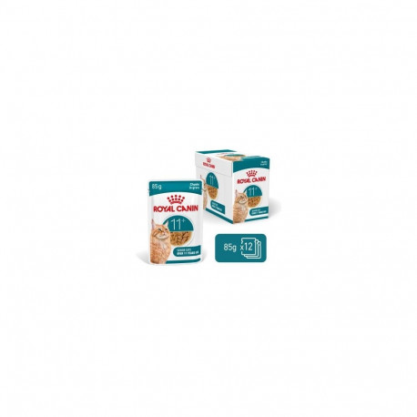 ROYAL CANIN Ageing 11+ Chunks in gravy - wet cat food - 12x85g