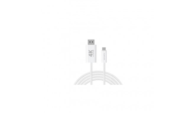 4smarts 540958 DisplayPort cable 2 m USB C White