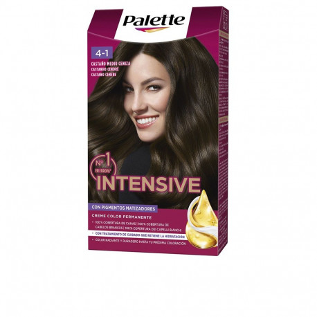 PALETTE INTENSIVE juuksevärv #4.1 1u, keskmine tuhkapruun