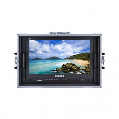 Monitor - SEETEC P173-9HD 17.3'' Full HD IPS Display 4K UHD HDMI Input