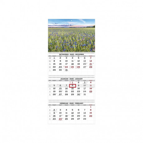 2911210001, Seinakalender Trio Extra pilt 1