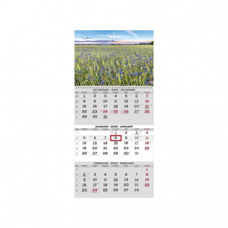 2911200001, Seinakalender Trio pilt 1