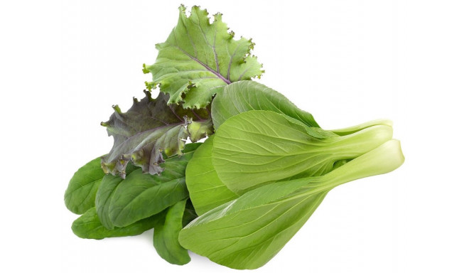 Click & Grow Plant Pod Asian Greens Mix 9tk