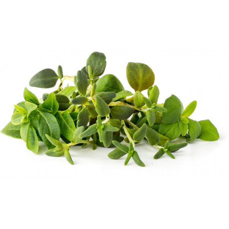 Click & Grow Plant Pod Italian Herb Mix 9pcs