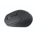 Conceptronic LORCAN02B Ergonomic Bluetooth Mouse