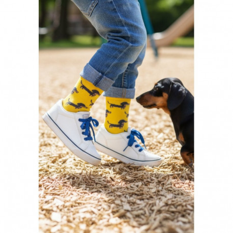 SOKISAHTEL WILLOW kollased taksikoertega sokid lastele 443