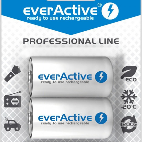 laetavad akud everActive Ni-MH R14 C 5000 mAh Professional Line