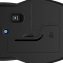 HP 250 Dual Mouse