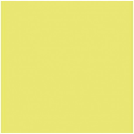 Kartong Iris Kiwi 50 x 65 cm