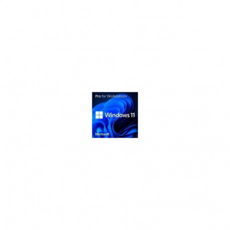 Microsoft SB Windows 11 Pro for Workst 64Bit UK - DVD