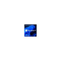 Microsoft SB Windows 11 Pro for Workst 64Bit UK - DVD