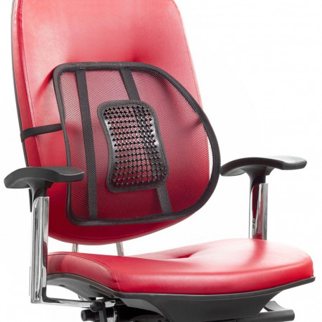 Teisaldatav Hingav Selgroo Tugi Backonfy InnovaGoods