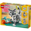 creator 31163 vallatu kass