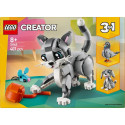 creator 31163 vallatu kass