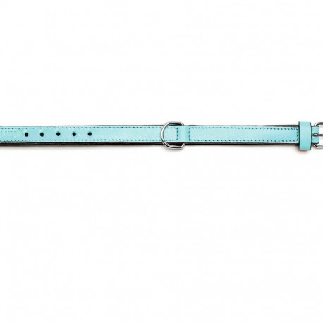 Dog collar Gloria Padded Blue (55 x 2,5 cm)