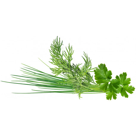 Click & Grow Plant Pod Classic Garnish Mix 9pcs