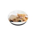 Popsockets 2 Cat & Dog Holder and Phone Stand