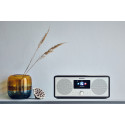 Panasonic raadio RF-D40EG-K, must