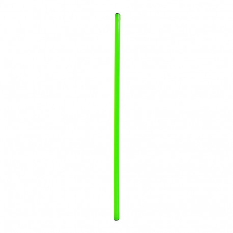 võimlemiskepp NO10 120cm SPR-25120 G, roheline