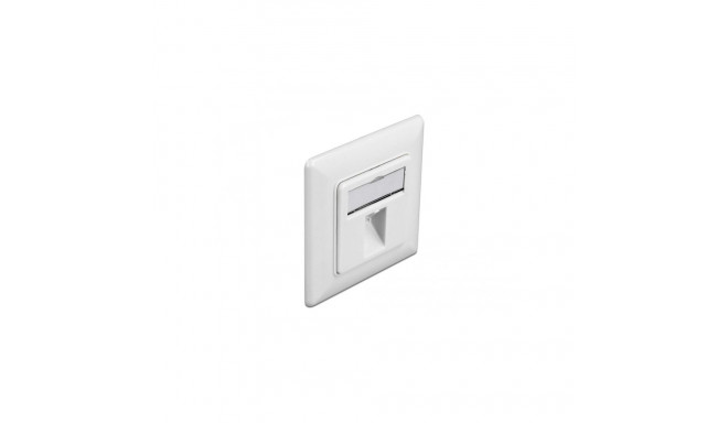 Delock Keystone Wall Outlet 1 port