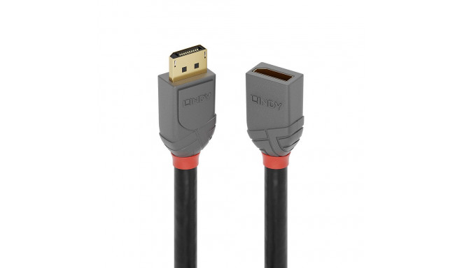 0.5m DisplayPort 1.4 Extension Cable, Anthra Line