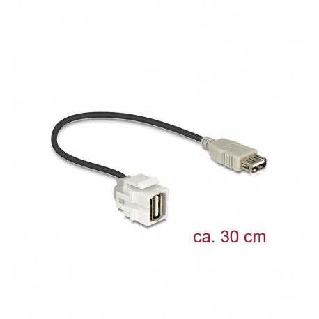 Delock Keystone Module USB 2.0 A female > USB 2.0 A female 250° with cable