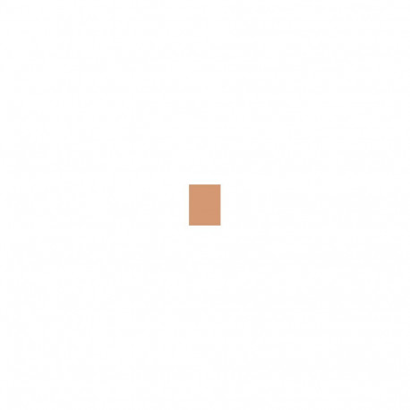 E.Lauder Double Wear Stay In Place Makeup SPF10 (30ml)