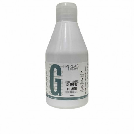 Šampoon Salerm Greasy Hair 300 ml