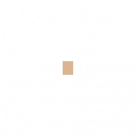 Clarins Tinted Oleo-Serum (30ml) (01)