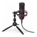 ENDORFY Solum T, microphone (black, USB-C)