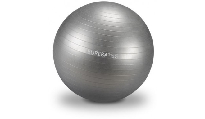 Bureba võimlemispall pumbaga 55cm, hõbehall