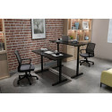 Digitus Electrically height-adjustable table frame, single motor, 2-stage DA-90430 (black)