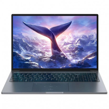 Blackview GamiBook-8 Ryzen 7 7735HS 16" WUXGA peegeldusvastane 32GB 1TB BT BLKB FPR W11Pro hall