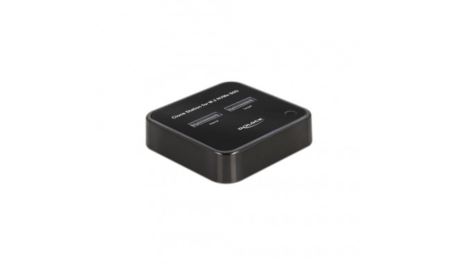 DeLOCK M.2 Docking Station for 2 x M.2 NVMe PCIe SSD with Clone function