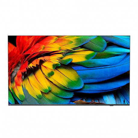 Philips 43HFL6214U 109.2 cm (43") 4K Ultra HD Smart TV Wi-Fi Anthracite 400 cd/m² Rollable display