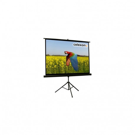 Celexon 1090020 projection screen 4:3