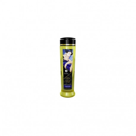 SHUNGA 0697309012195 massage cream &amp; oil Massage oil 240 ml Lavender