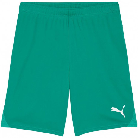 Spodenki męskie Puma Team Goal zielone 705752 05 XL
