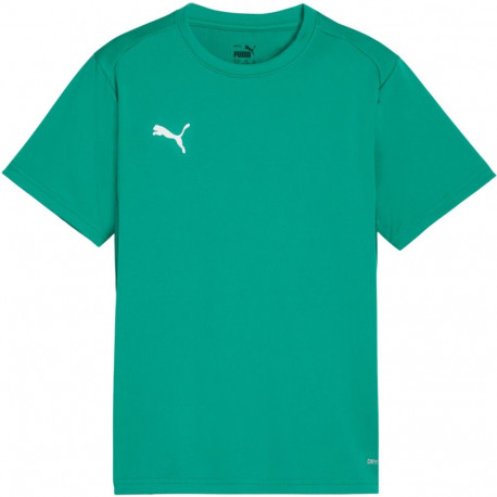 Puma laste särk TeamGoal Jersey 658637 05 116cm, roheline