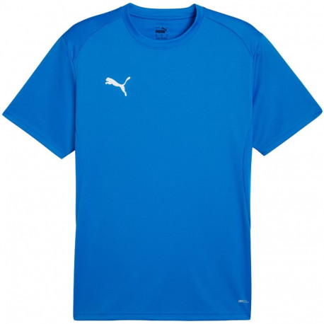 Puma meeste särk TeamGoal Jersey 658636 02 L, sinine