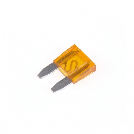 MINI 5A plaadiga autokaitsmed (50 tk.)