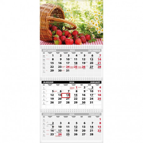 Seinakalender TRIO EXTRA, avatud mõõt 297x640mm (PILT nr. 10) 00319/40514