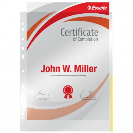 Signaaltasku köidetav A4 ESSELTE 105mic kollane 100tk