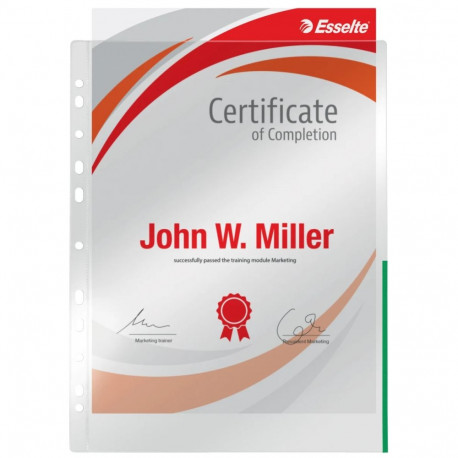 Signaaltasku köidetav A4 ESSELTE 105mic roheline 100tk