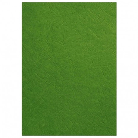 Binding cardboard FORPUS A4 230g green 100 sheets