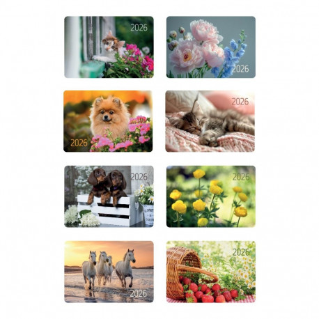 Taskukalender 2026a.