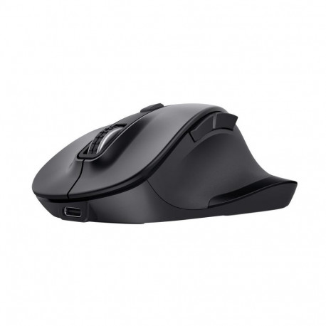 Trust 25708 Wireless Computer mouse