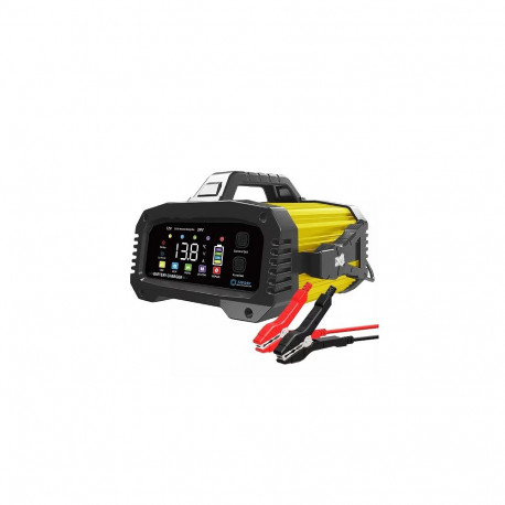 Fully Automatic Lead Acid / LiFePO4 Battery Charger, 12V 25A / 24V 15A